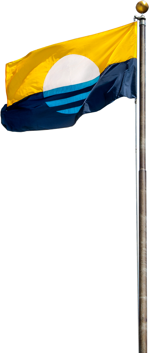 Png Flag (500x1152), Png Download