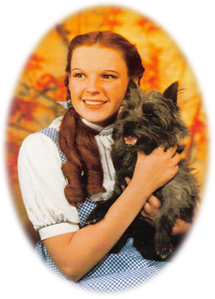 Judy Garland - Dorothy Wizard Of Oz Dog (305x423), Png Download