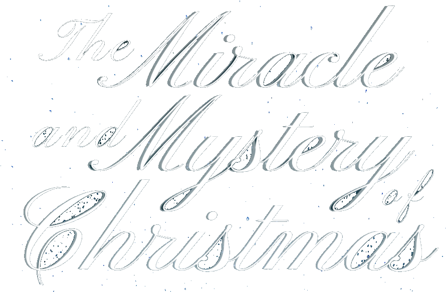 Merry Christmas Oval Ornament (904x582), Png Download