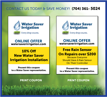 Coupons - Grass (612x792), Png Download