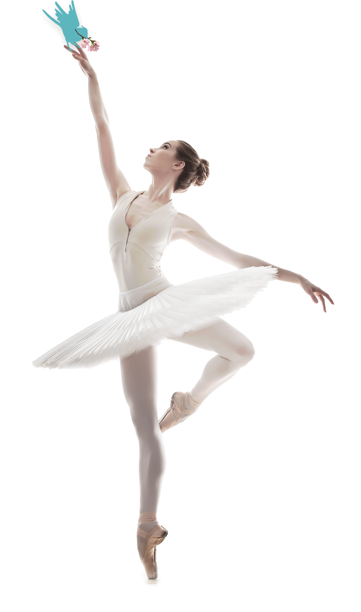 Ballet Dancer Png Picture - Dance Pictures Framed Ballet (1473x2480), Png Download