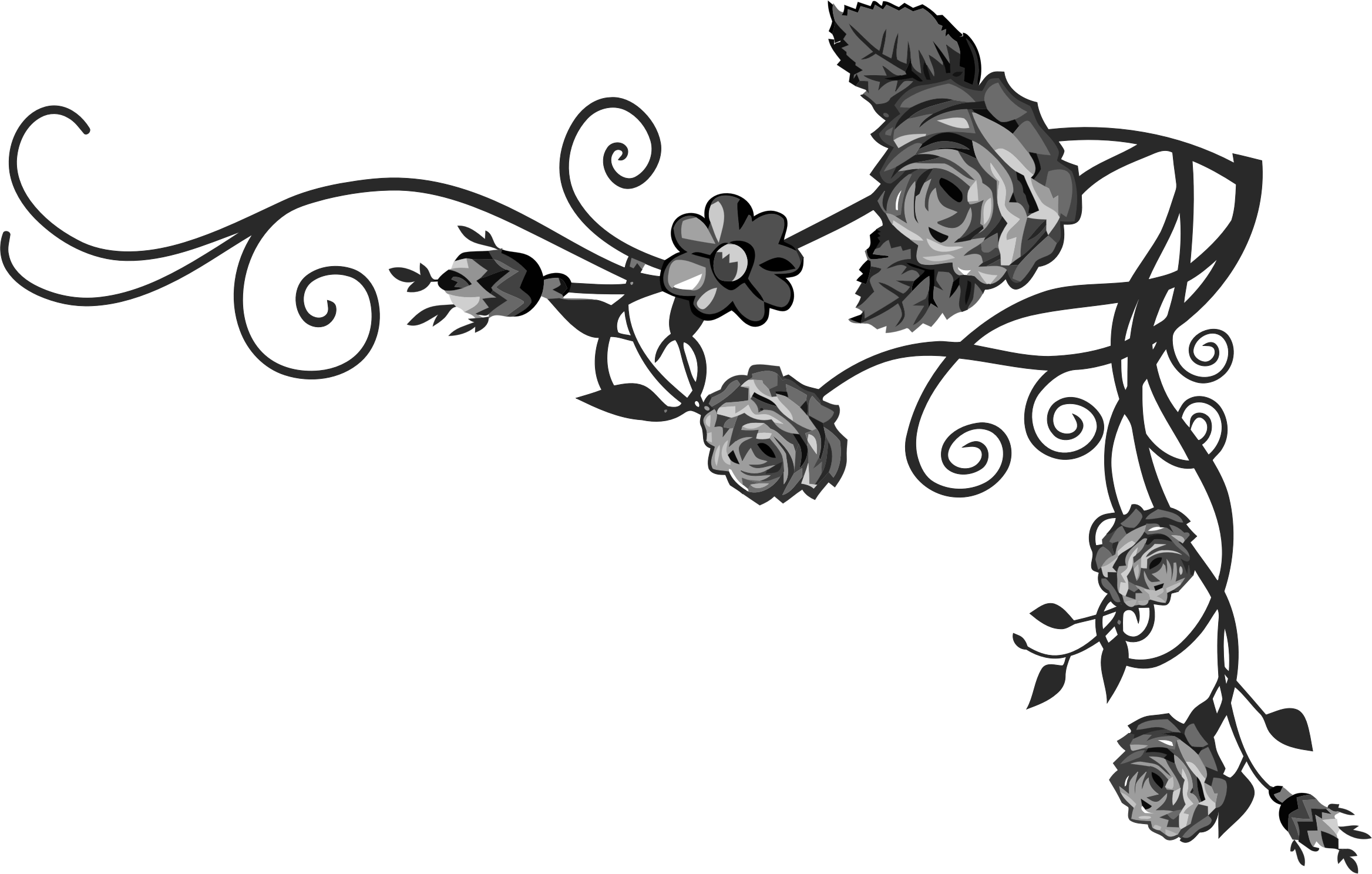 Vine Clipart Black Rose - Free Transparent PNG Download - PNGkey