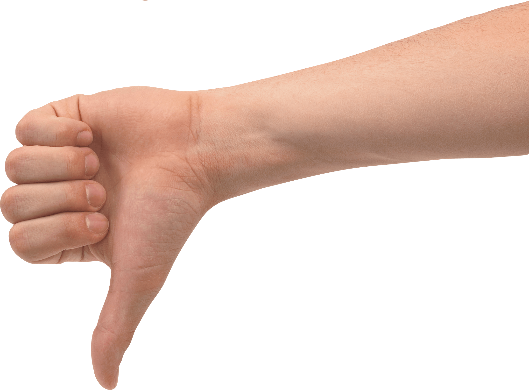 People - Hand Png Format (2191x1615), Png Download