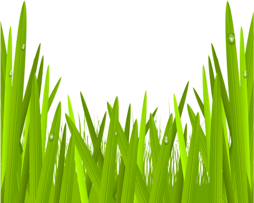 Green Grass Png Clip Art Image Gallery - Green Grass Clipart Transparent (600x506), Png Download