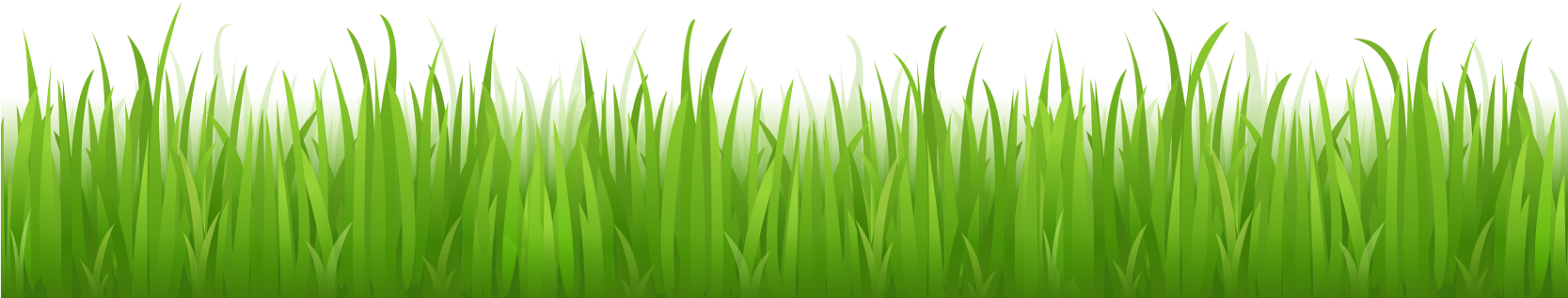 Green Grass Png Image Background - Grass With No Background (1667x724), Png Download