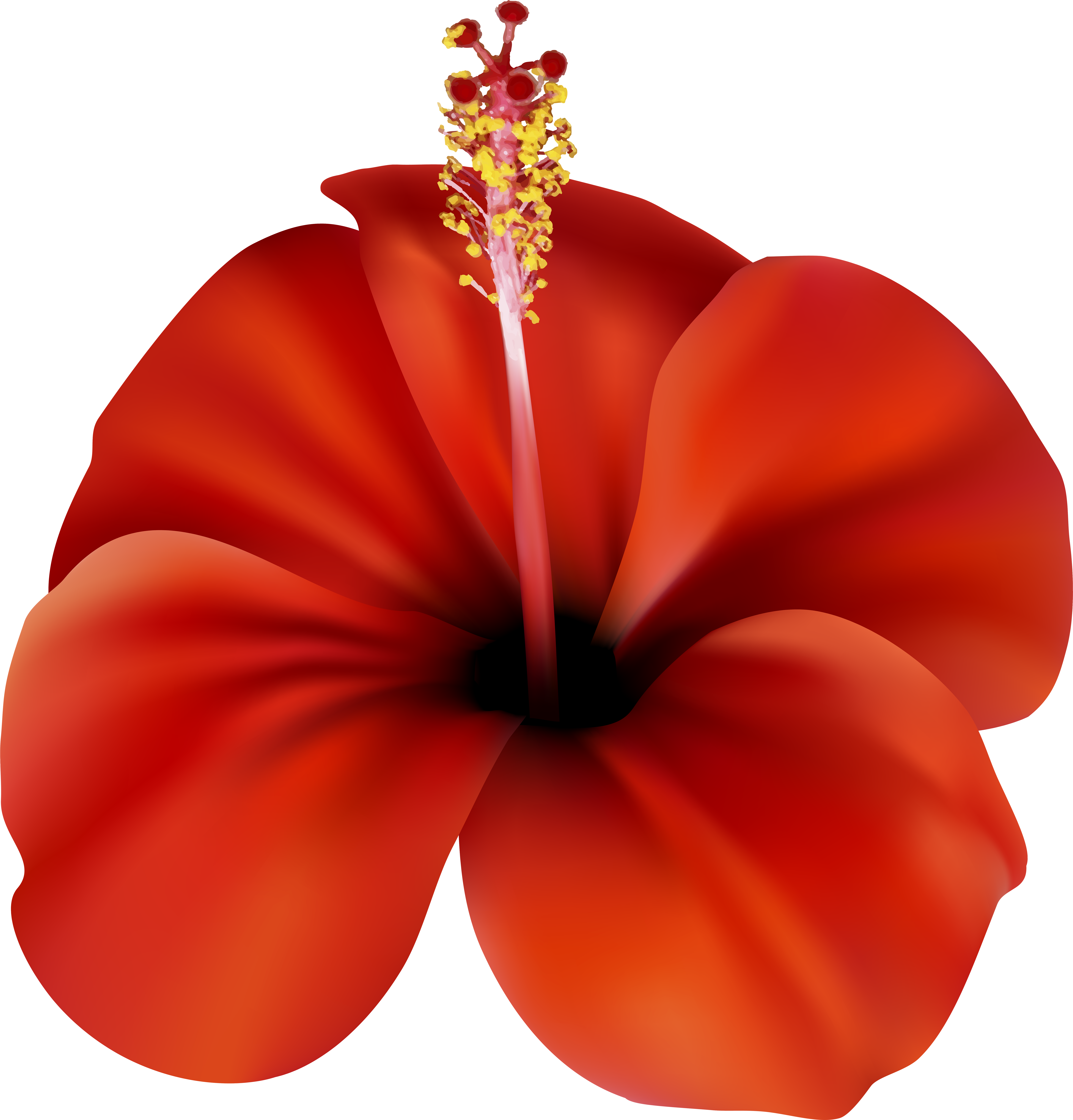 Clip Free Stock Png Clip Art Best Web (7663x8000), Png Download