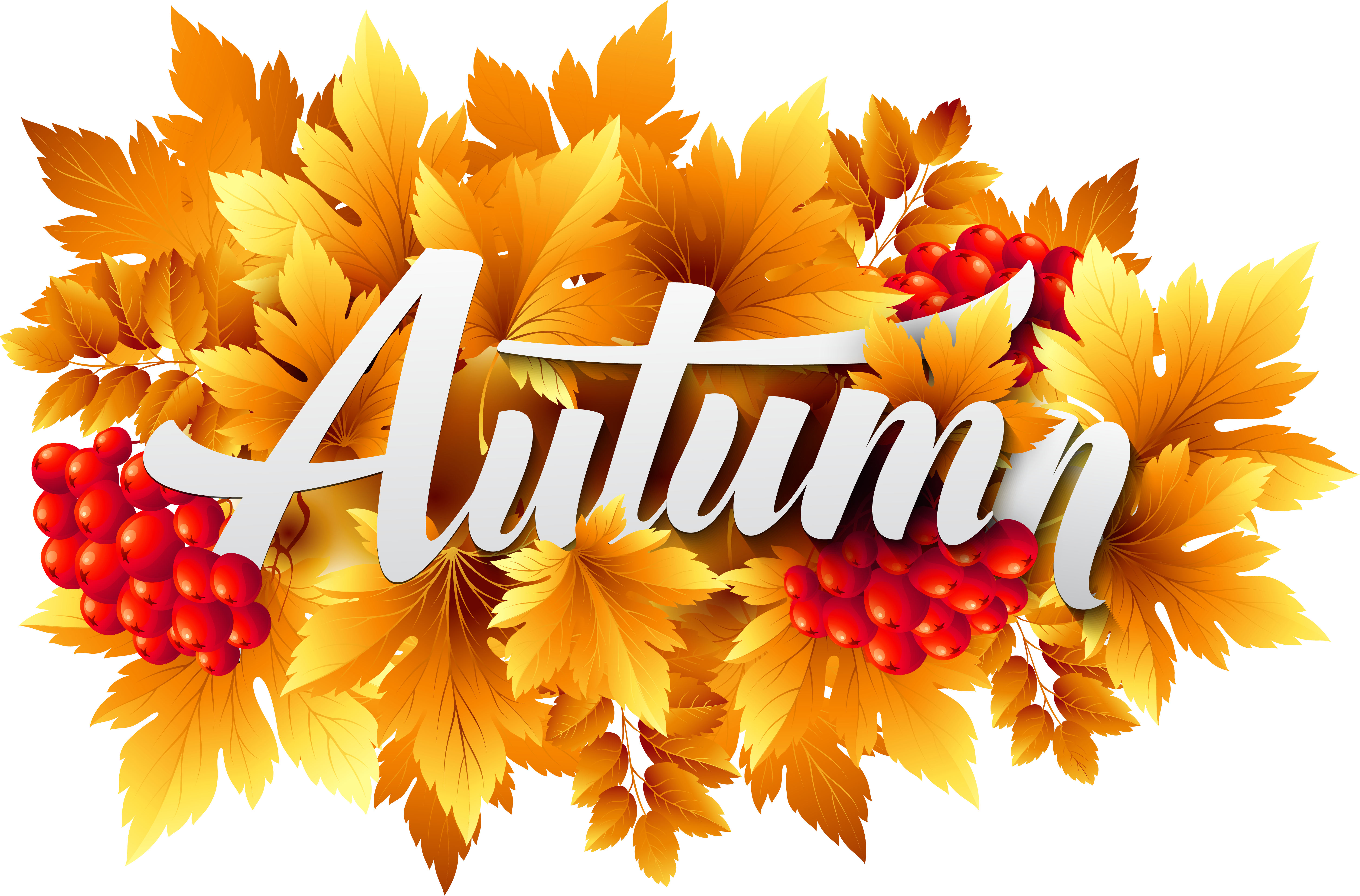 Autumn (5856x3860), Png Download