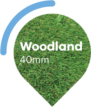 Woodland-artificial Grass - Portable Network Graphics (300x400), Png Download