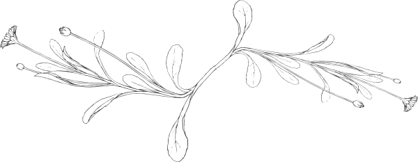 How To Set Use Page Break Clipart (600x233), Png Download