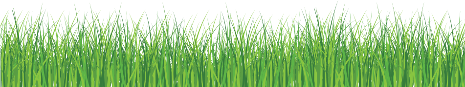 Grass Front - Green Grass White Background (950x415), Png Download