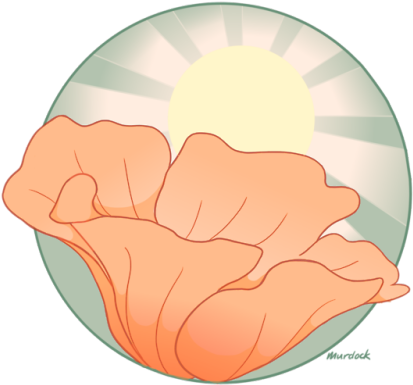California Sunrise - California Poppy (500x500), Png Download