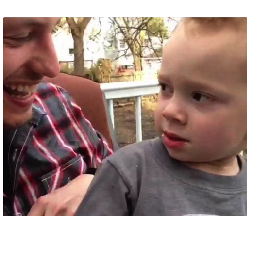 Nick Mastodon Gavin Memes (521x538), Png Download