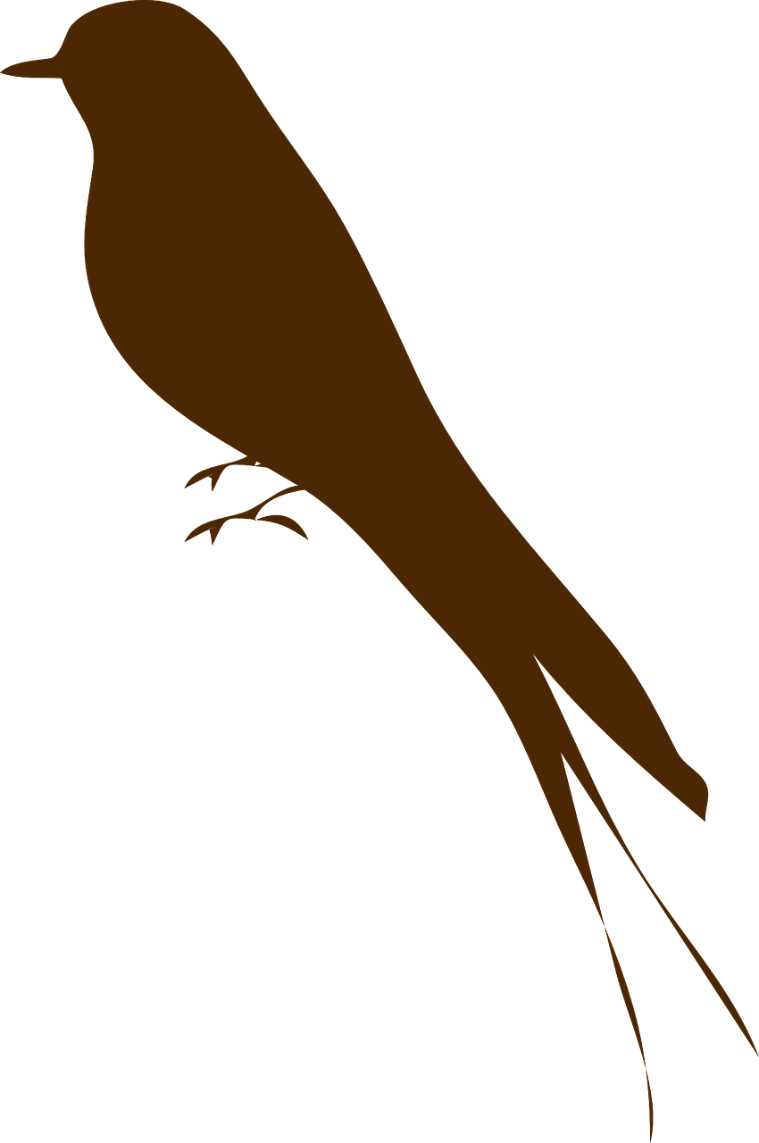 Love Bird Silhuette Chocolate Svg Clip Arts 396 X 596 (396x596), Png Download