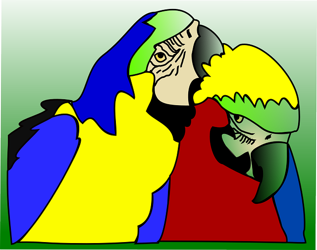 Parrots, Birds, Tropical, Exotic, Couple, Lovebirds - Clip Art (640x504), Png Download