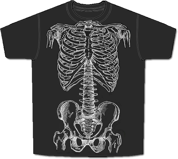 Bones Front Short (600x540), Png Download