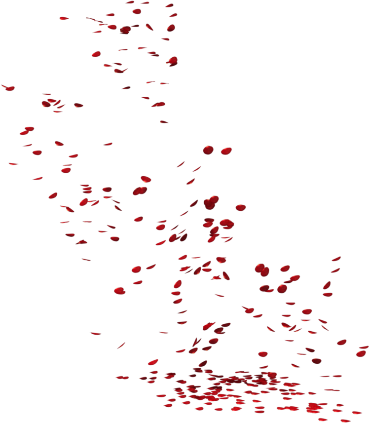 0 Kbyte, V - Rose Petal Render (886x902), Png Download