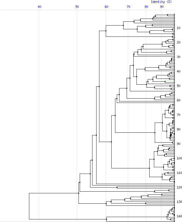 Tree For Family M4 (800x820), Png Download