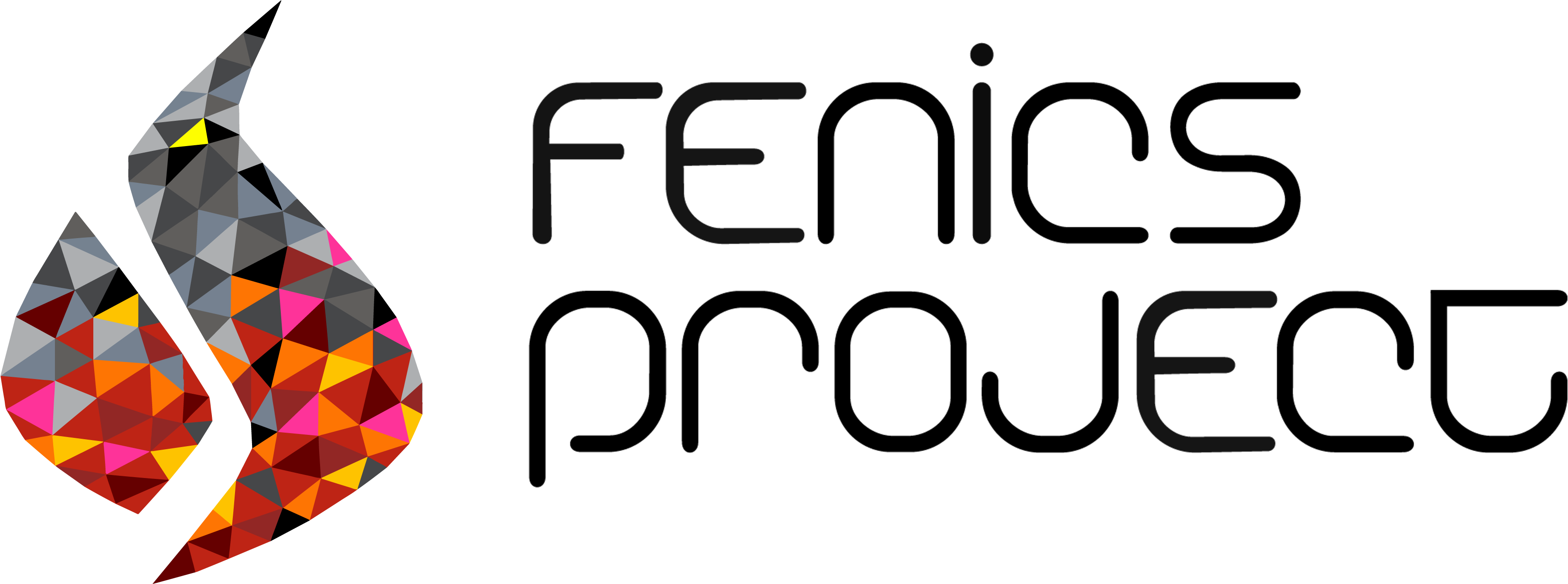 Fenics Project Logo (3936x1375), Png Download