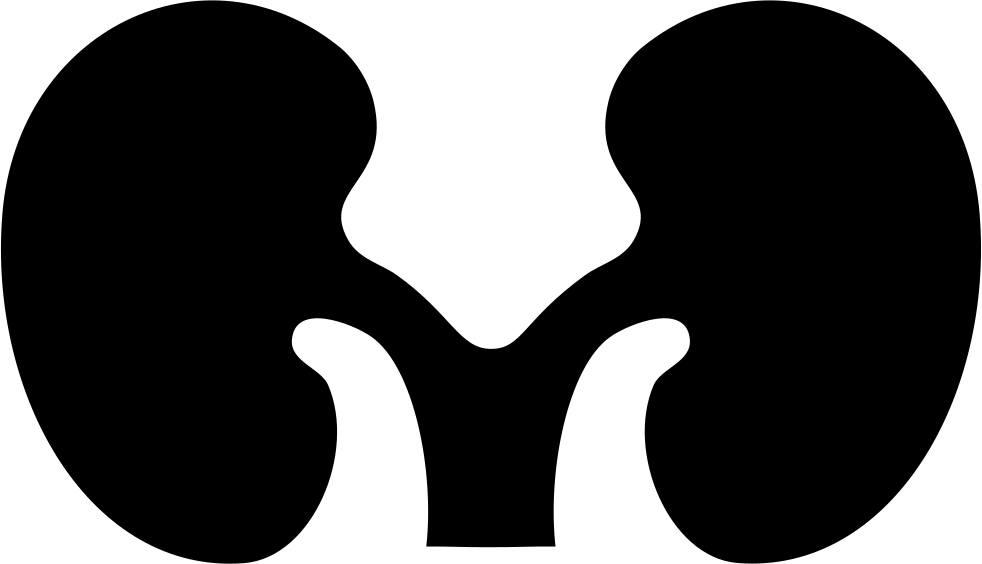 Png File Svg (982x564), Png Download