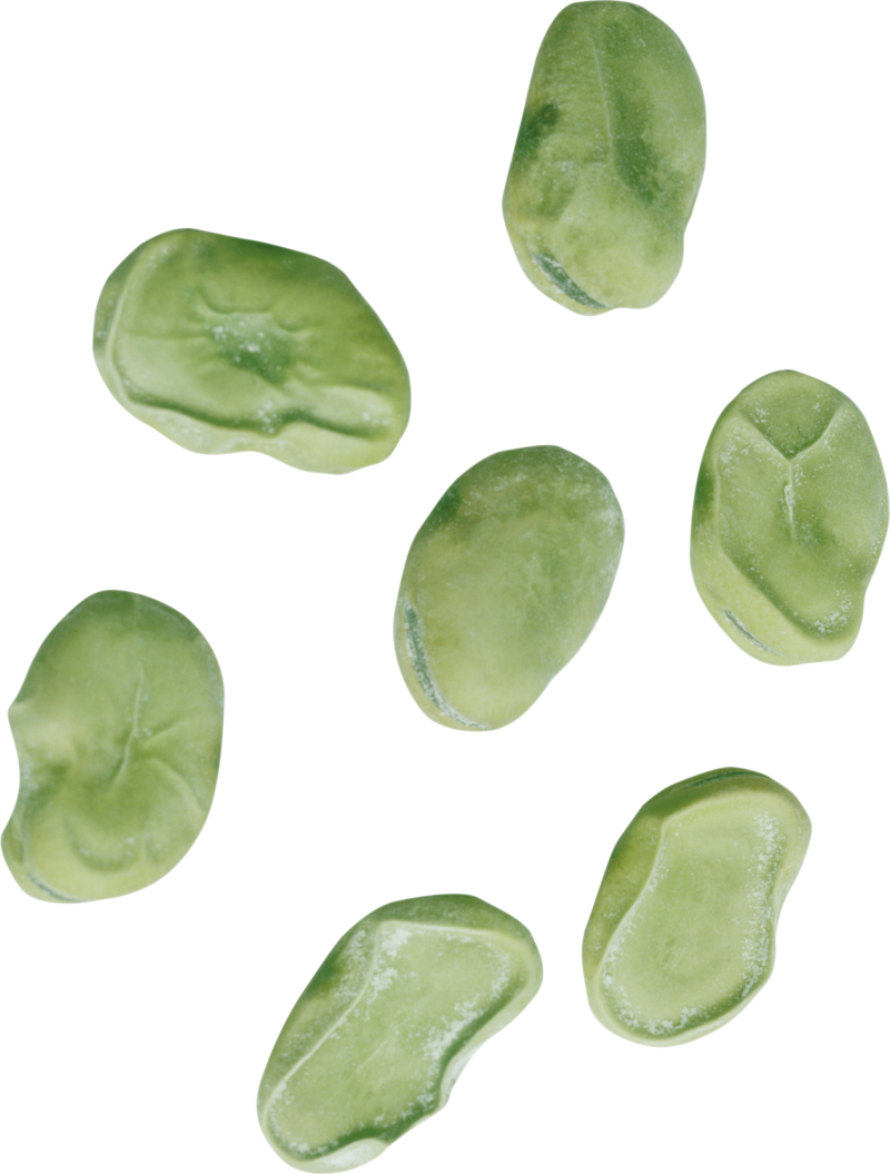 Kidney Beans Png, Download Png Image With Transparent (800x1055), Png Download