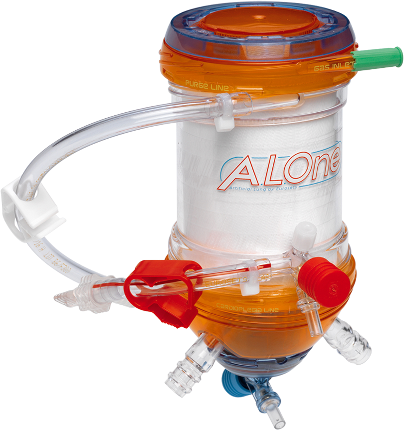 Watch The Video (900x1024), Png Download