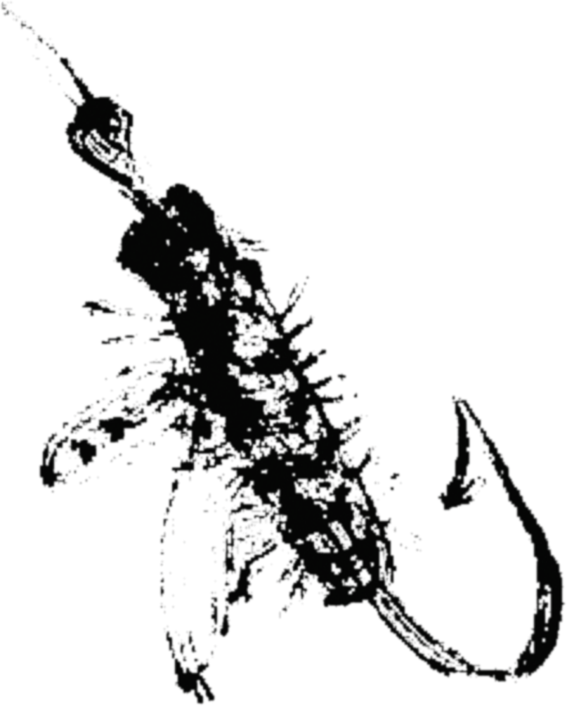 Simulation (807x1004), Png Download