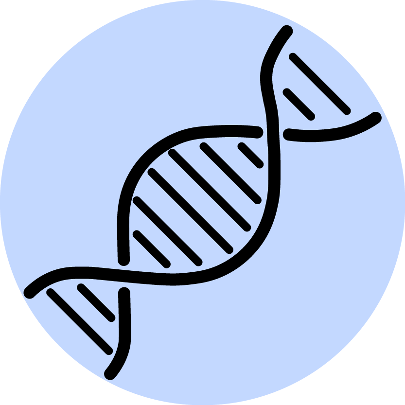 Suborganismal (833x833), Png Download