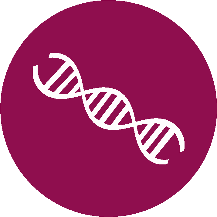 Dna Icon Png (924x924), Png Download
