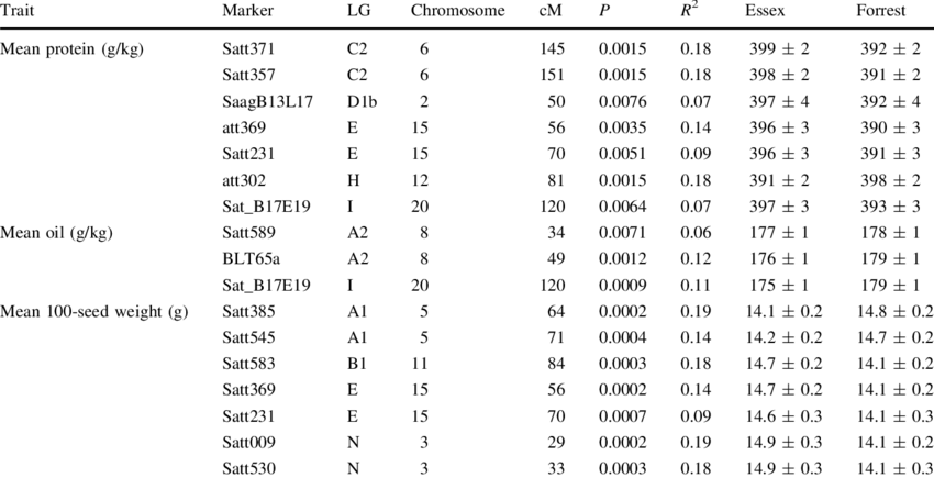 Forrest Png (850x435), Png Download