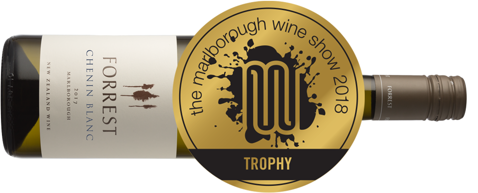 Champion Other White (1000x459), Png Download