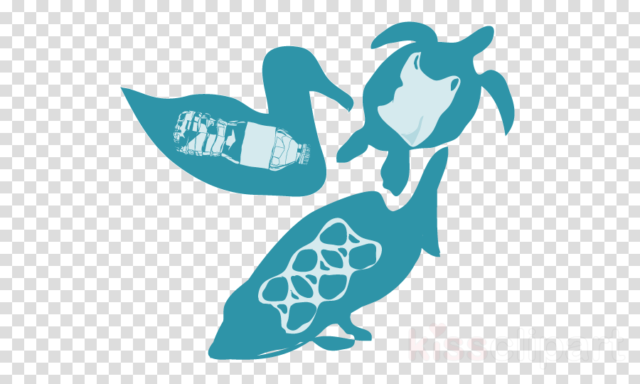 Discovery Png (900x540), Png Download