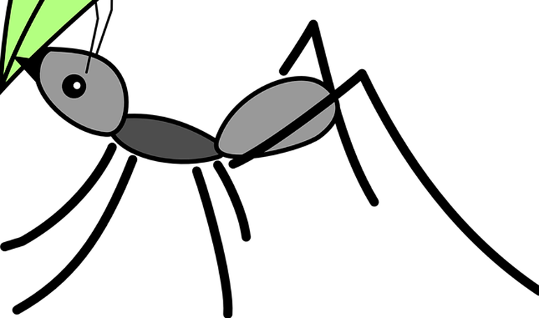 Limon Png (772x456), Png Download
