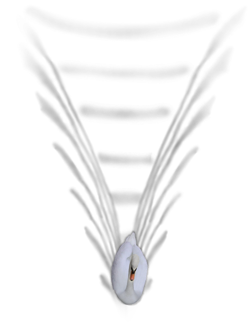 24 Mar 2009 (506x755), Png Download