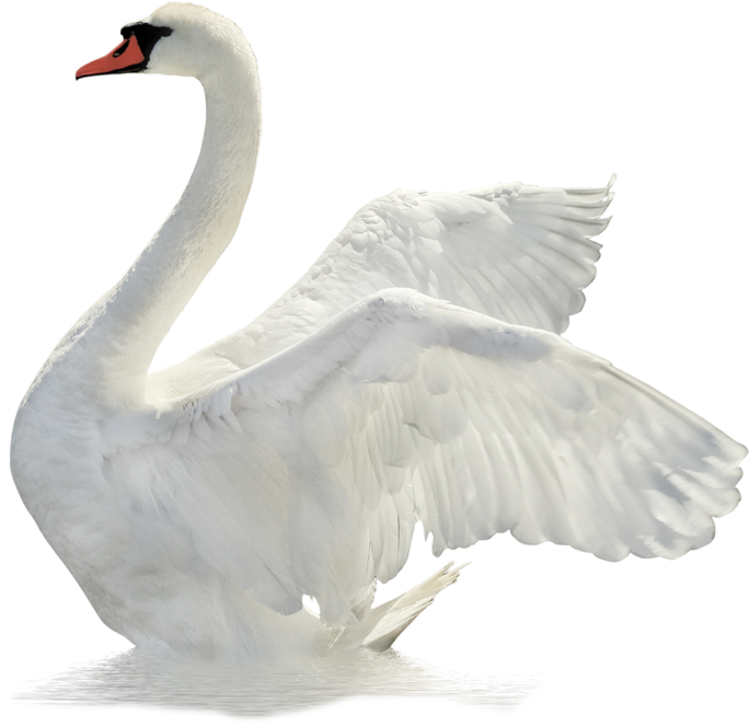 Digital Business Services (800x800), Png Download