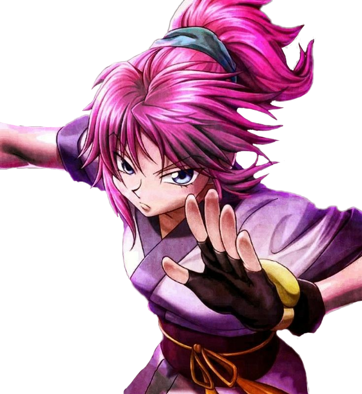 Download Transparent Hunter X Hunter Image Hunter X H vrogue.co