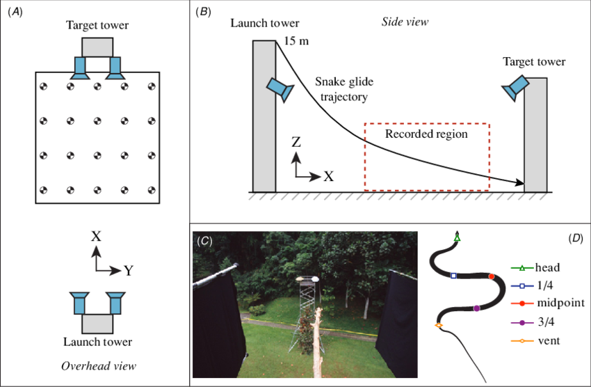 Experimental Setup For Recording Snakes In Late-phase (850x556), Png Download