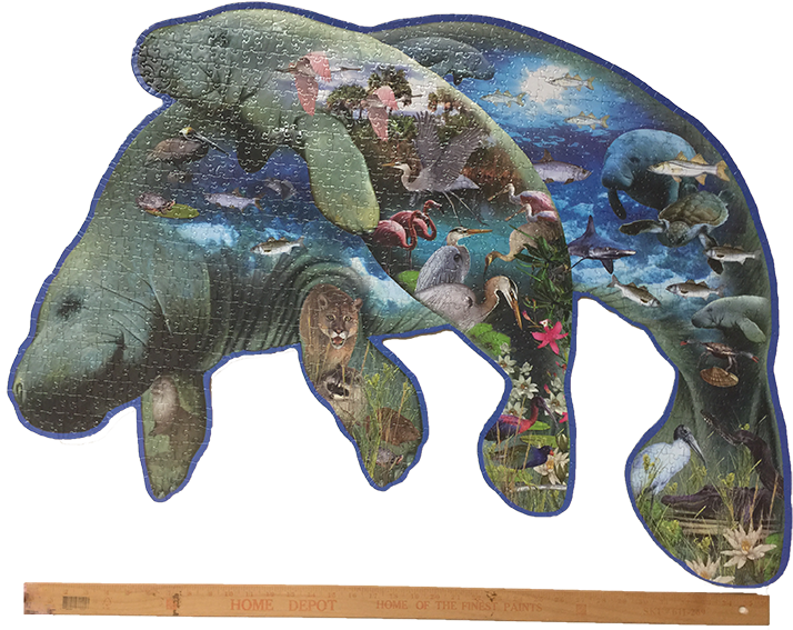 More Images (720x574), Png Download