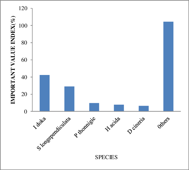 Important Dominants Woody Species In The Disturbed (728x653), Png Download