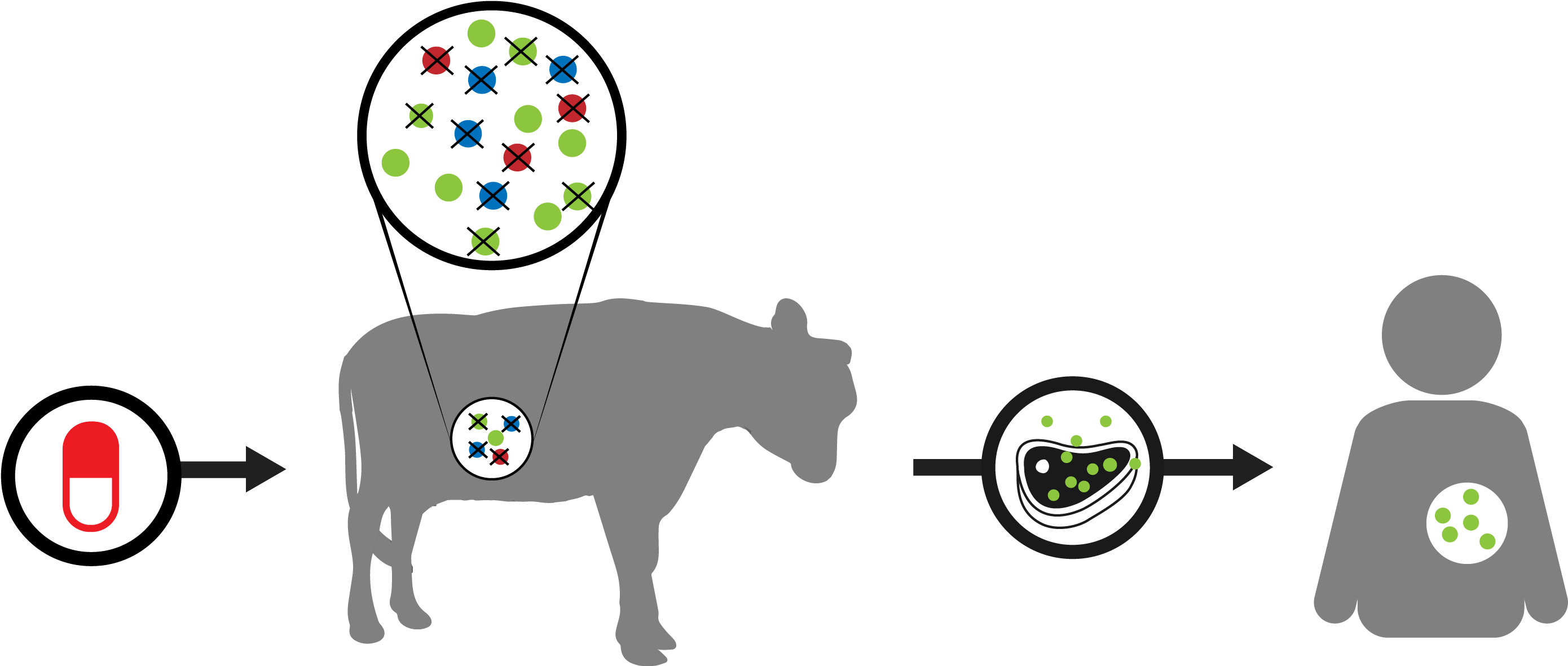 It Is Estimated That By 2050, 10 Million People Will (3000x1405), Png Download