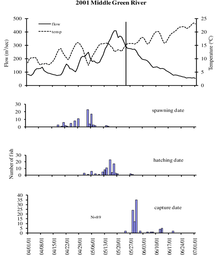 Capture And Otolith Age Estimated Hatching And Spawning (850x1013), Png Download