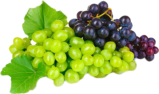 Grapevine (600x600), Png Download