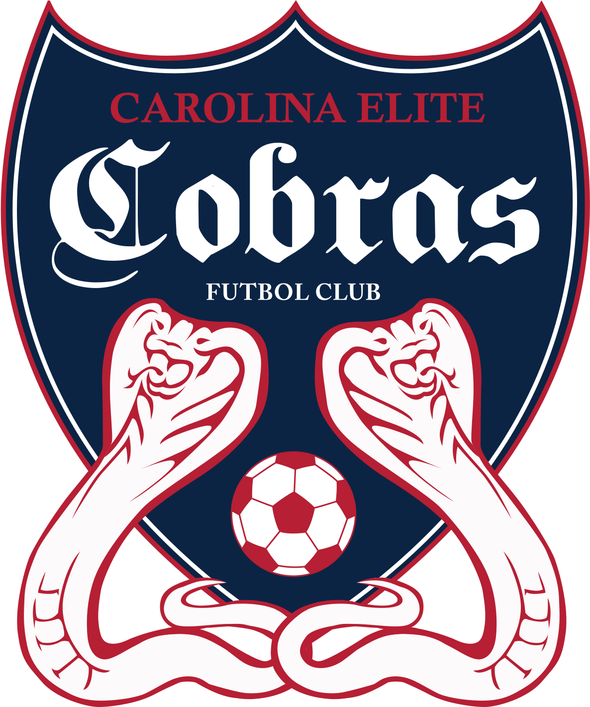 Cobra Png (1200x1428), Png Download