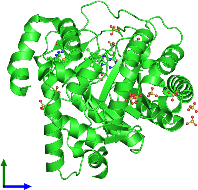 Ribbon Structure Of 4ls0 (800x800), Png Download