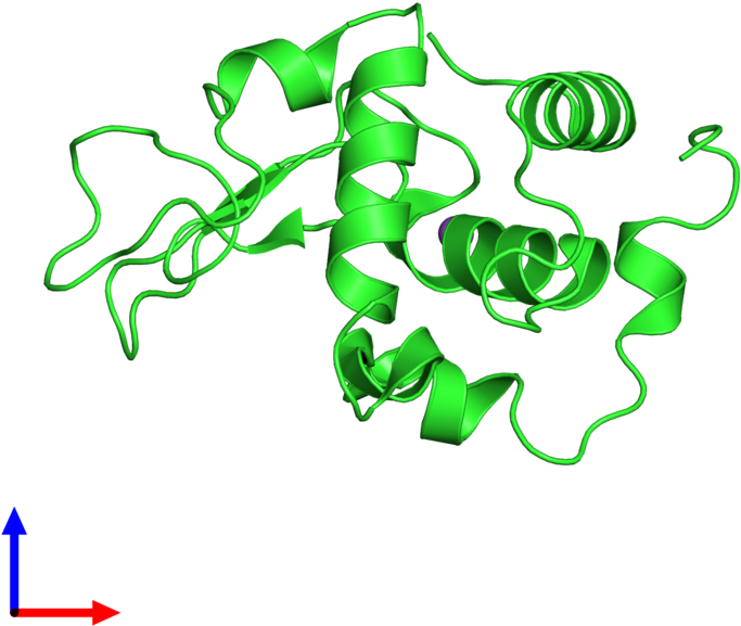 Ribbon Structure Of 1inu (800x800), Png Download