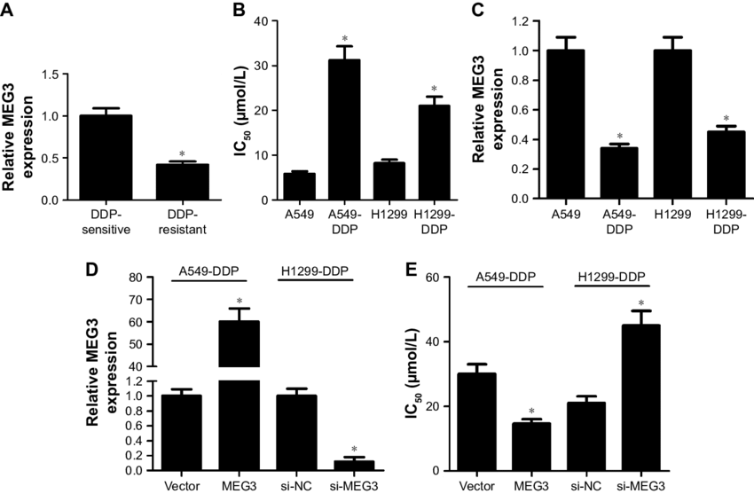 Upregulation Of Meg3 Increased The Sensitivity Of Ddp (850x557), Png Download