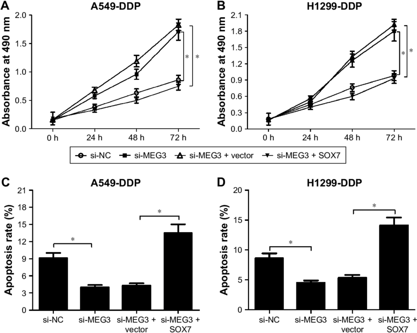 Meg3 Knockdown Increased Ddp Resistance Of Ddp Resistant (850x686), Png Download