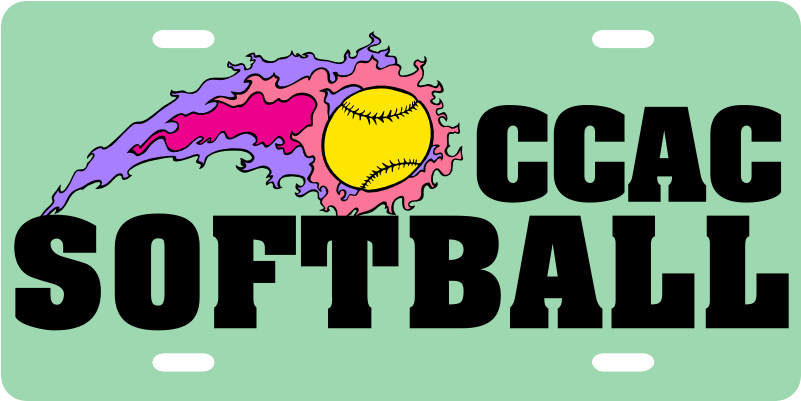 Blank License Plate Png (800x740), Png Download