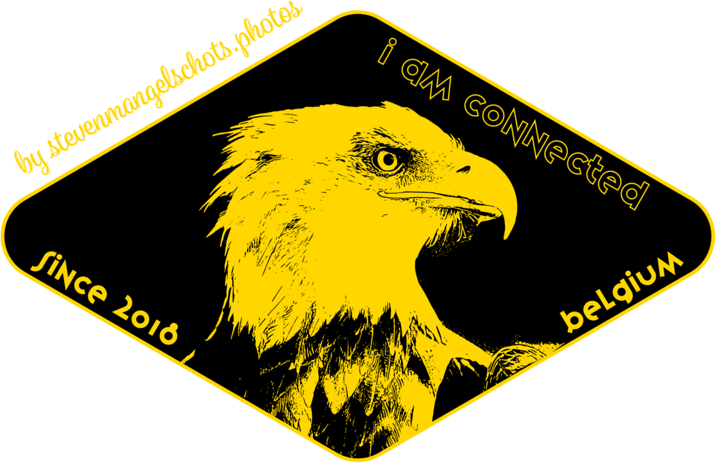 Eagel I Am Connected (1000x672), Png Download