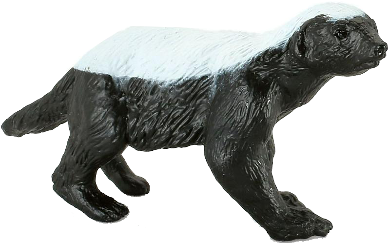 Badger Png (1000x1000), Png Download