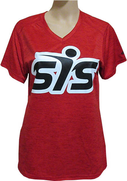 Sis Tonal Blend Ladies V Neck Tee (700x700), Png Download